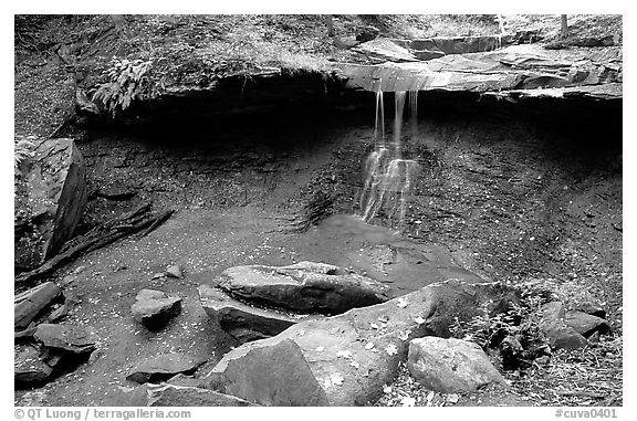 Blue Hen falls dropping over ledge. Cuyahoga Valley National Park, Ohio, USA.