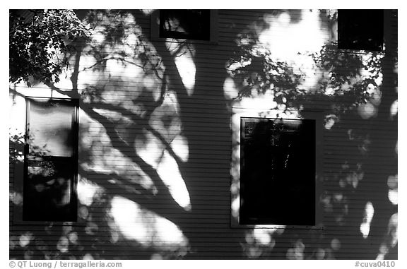 Tree shadows on wall. Cuyahoga Valley National Park, Ohio, USA.