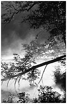 Fallen tree and mist, Kendall Lake. Cuyahoga Valley National Park ( black and white)