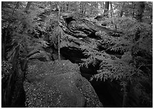 Trees and sandstone blocs,  The Ledges. Cuyahoga Valley National Park, Ohio, USA. (black and white)