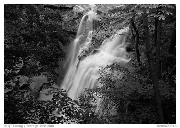 Brandywine falls in forest. Cuyahoga Valley National Park (black and white)