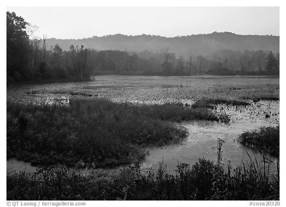 Grasses and Beaver Marsh at sunrise. Cuyahoga Valley National Park, Ohio, USA.