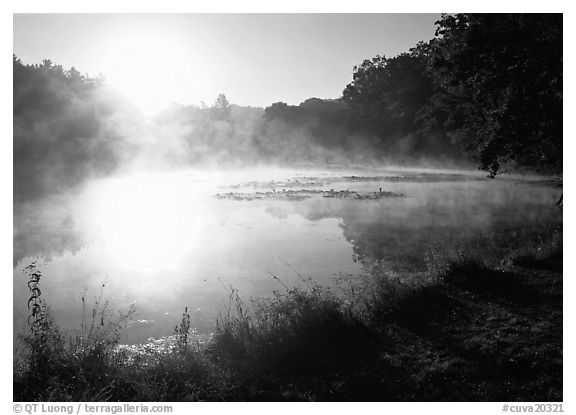 Sun shining through mist, Kendall Lake, Virginia Kendall Park. Cuyahoga Valley National Park (black and white)