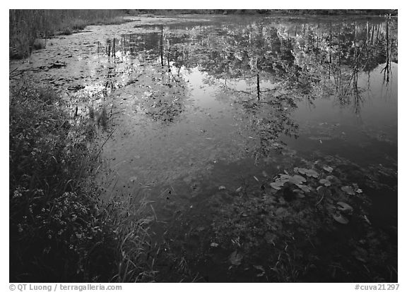 Autumn reflection on Kendall Lake, Virginia Kendall Park. Cuyahoga Valley National Park (black and white)