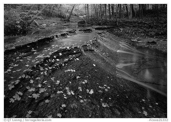 Cascades and fallen leaves. Cuyahoga Valley National Park (black and white)