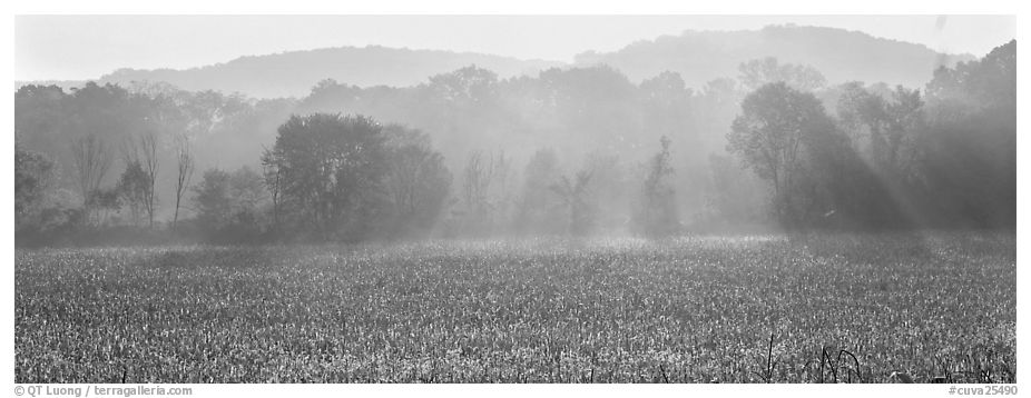 Sunrays in distant mist above field. Cuyahoga Valley National Park (black and white)