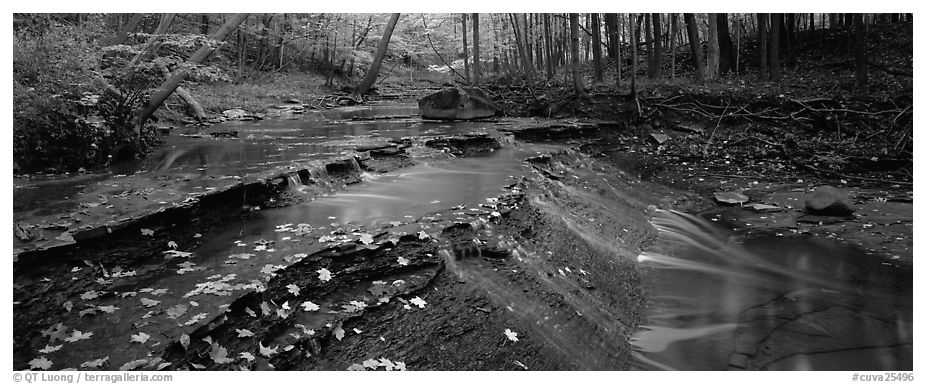 Autumn scene with stream cascading and fallen leaves. Cuyahoga Valley National Park (black and white)