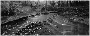 Autumn scene with stream cascading and fallen leaves. Cuyahoga Valley National Park (Panoramic black and white)