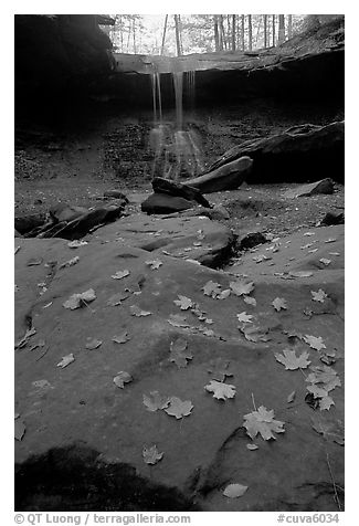 Fallen leaves on gren slabs and Blue Hen Falls. Cuyahoga Valley National Park, Ohio, USA.