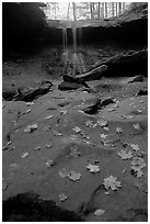 Fallen leaves on gren slabs and Blue Hen Falls. Cuyahoga Valley National Park, Ohio, USA. (black and white)