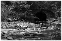 Tinkers Creek flowing into Viaduct Bridge, Bedford Reservation. Cuyahoga Valley National Park ( black and white)
