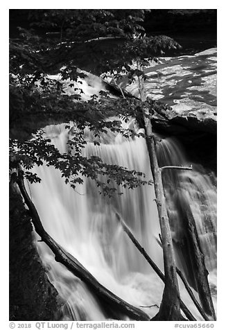 Great Falls with fallen trees, Bedford Reservation. Cuyahoga Valley National Park (black and white)