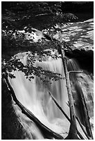 Great Falls with fallen trees, Bedford Reservation. Cuyahoga Valley National Park ( black and white)