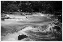 Eddies in Tinkers Creek above Viaduct Bridge, Bedford Reservation. Cuyahoga Valley National Park ( black and white)