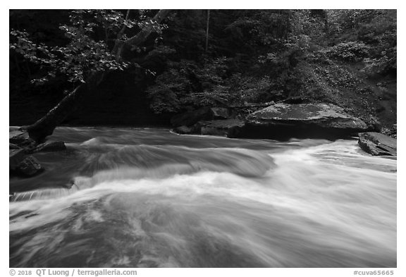 Tinkers Creek cascade, high flow, Bedford Reservation. Cuyahoga Valley National Park (black and white)