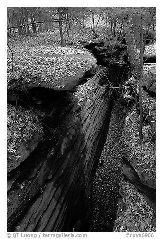 Sandstone depression, The Ledges. Cuyahoga Valley National Park (black and white)