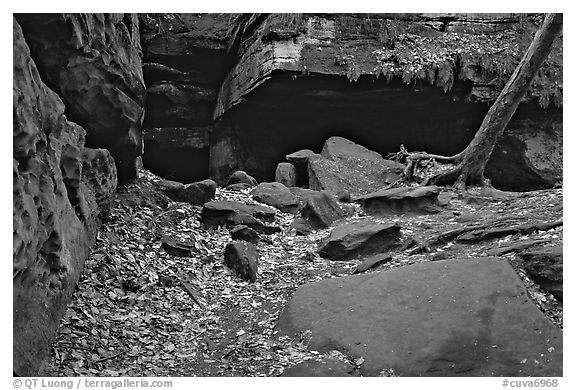 Ice box cave in a cliff at The Ledges. Cuyahoga Valley National Park, Ohio, USA.