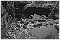 Ice box cave in a cliff at The Ledges. Cuyahoga Valley National Park, Ohio, USA. (black and white)