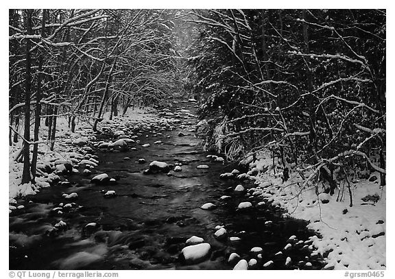 River in snowy forest, Tennessee. Great Smoky Mountains National Park, USA.
