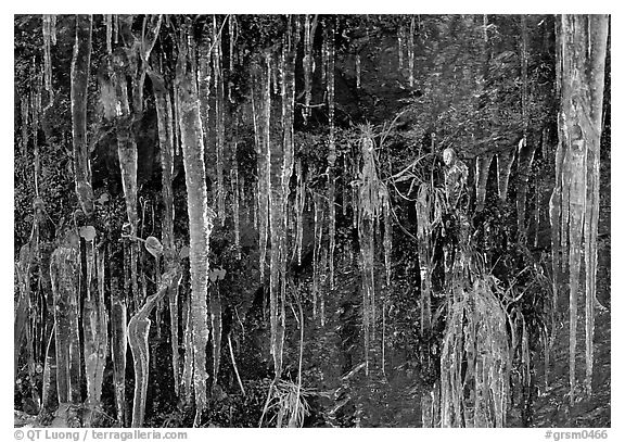 Icicles curtain, Tennessee. Great Smoky Mountains National Park, USA.