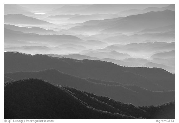 Blue ridges and valley from Clingman's dome, early morning, North Carolina. Great Smoky Mountains National Park (black and white)