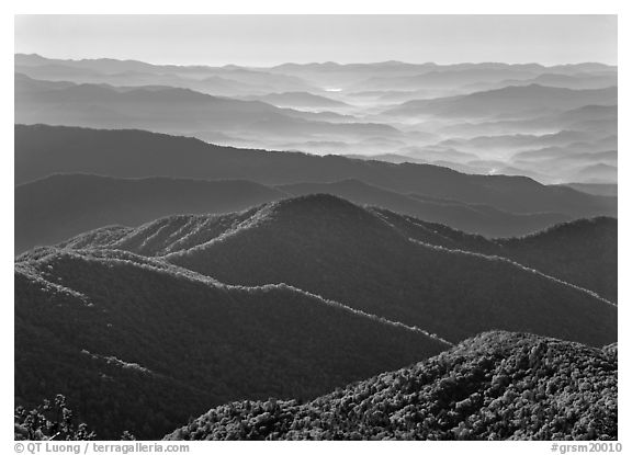 Forested and distant ridges in haze seen from Clingmans Dome, North Carolina. Great Smoky Mountains National Park, USA.