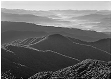 Forested and distant ridges in haze seen from Clingmans Dome, North Carolina. Great Smoky Mountains National Park, USA. (black and white)