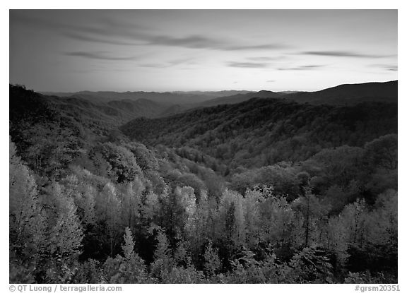 Row of trees, valley and ridges in fall color at sunset, North Carolina. Great Smoky Mountains National Park (black and white)