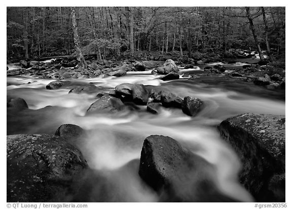 Confluence of the Little Pigeon Rivers, Tennessee. Great Smoky Mountains National Park (black and white)