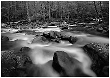 Confluence of the Little Pigeon Rivers, Tennessee. Great Smoky Mountains National Park, USA. (black and white)