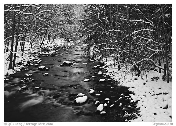 Snowy creek in winter. Great Smoky Mountains National Park (black and white)