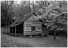 Noah Ogle log cabin in the spring, Tennessee. Great Smoky Mountains National Park, USA. (black and white)