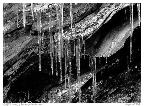 Rock, Icicles and snow, Tennessee. Great Smoky Mountains National Park (black and white)