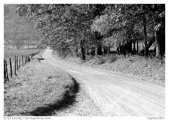 Gravel road in autumn, Cades Cove, Tennessee. Great Smoky Mountains National Park, USA.