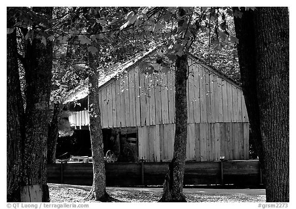 Barn in fall, Cades Cove, Tennessee. Great Smoky Mountains National Park (black and white)