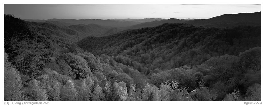 Appalachian autunm landscape of hills with trees in colorful foliage at sunset. Great Smoky Mountains National Park (black and white)