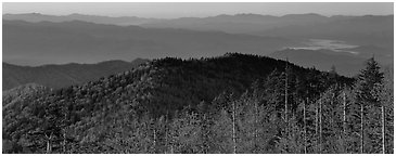 Trees and distant mountaintop ridges at sunrise. Great Smoky Mountains National Park (Panoramic black and white)