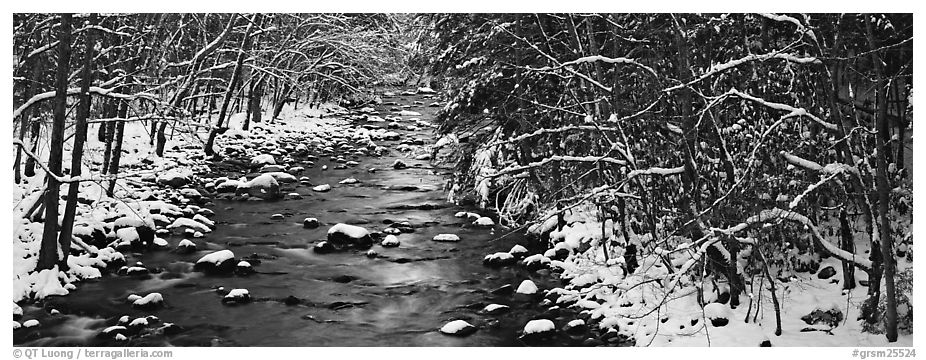 Stream in wintry forest. Great Smoky Mountains National Park (black and white)