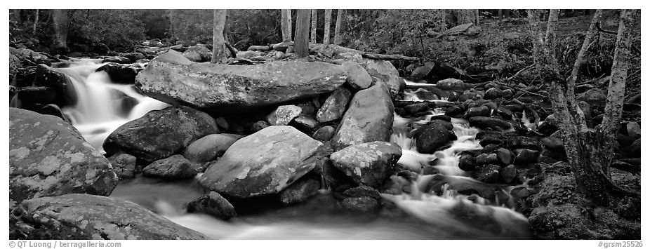 Cascading stream and boulders. Great Smoky Mountains National Park (black and white)
