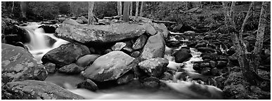 Cascading stream and boulders. Great Smoky Mountains National Park (Panoramic black and white)