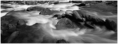 Boulders in river. Great Smoky Mountains National Park (Panoramic black and white)