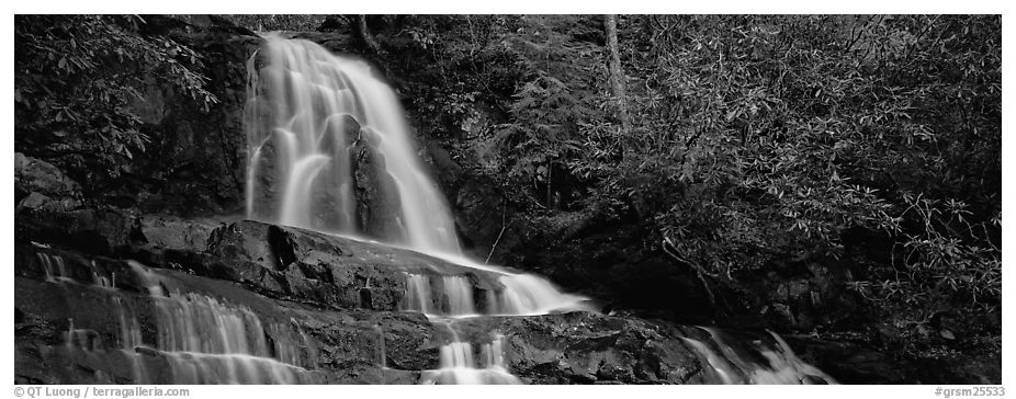 Waterfall in decidous forest. Great Smoky Mountains National Park (black and white)