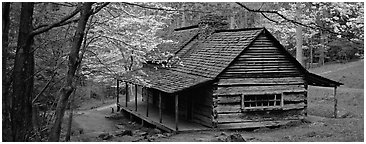Pioneer cabin in the spring. Great Smoky Mountains National Park (Panoramic black and white)
