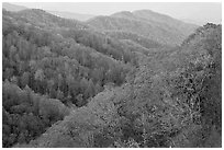 Ridges covered with deciduous trees in fall, North Carolina. Great Smoky Mountains National Park, USA. (black and white)