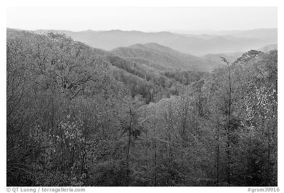 View over mountains in fall colors at dawn, North Carolina. Great Smoky Mountains National Park, USA.