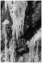 Icicles and rock, overnight frost, North Carolina. Great Smoky Mountains National Park, USA. (black and white)
