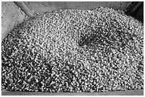 Corn loaded onto grist mill, Mingus Mill, North Carolina. Great Smoky Mountains National Park ( black and white)