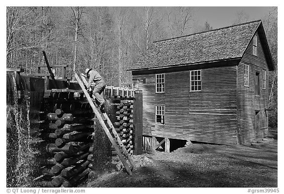 Miller climbing onto millrace, Mingus Mill, North Carolina. Great Smoky Mountains National Park, USA.