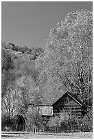 Historic log building in fall, Oconaluftee Mountain Farm, North Carolina. Great Smoky Mountains National Park, USA. (black and white)
