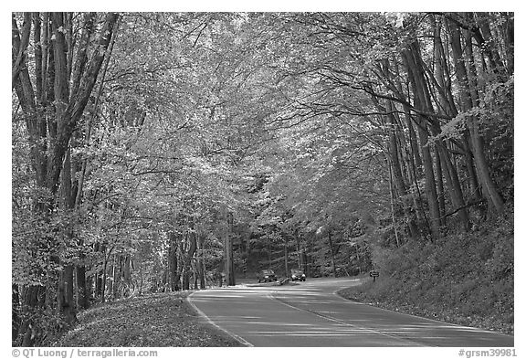 Newfoundland Gap road during the fall, Tennessee. Great Smoky Mountains National Park, USA.